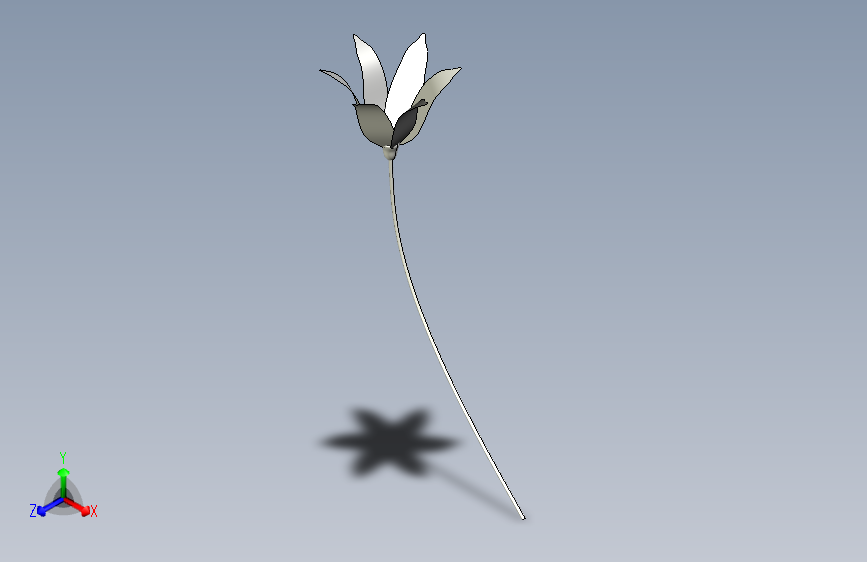 一朵花