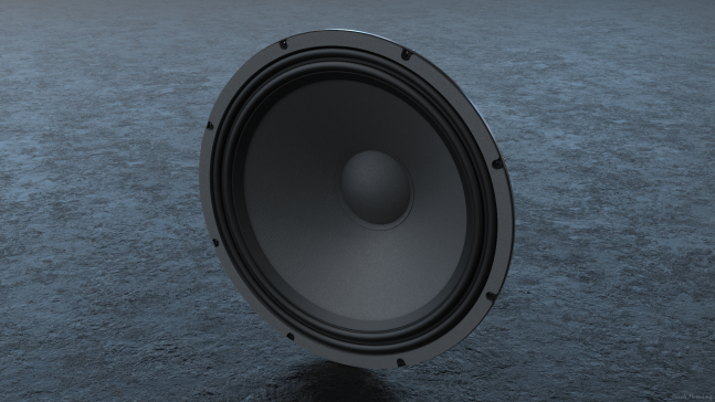低音吉他音箱中使用的10英寸(25.4厘米)直径低音扬声器