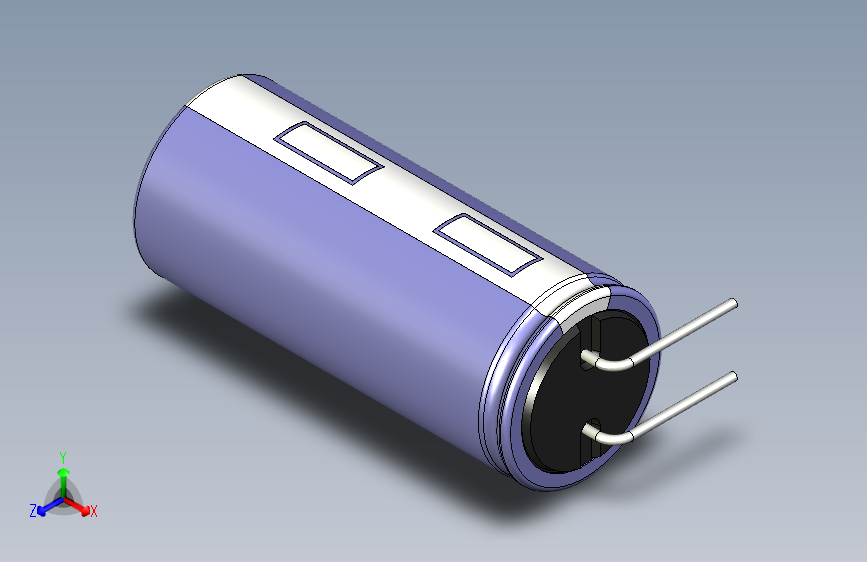 cap_el_horizontal_d12.5_h30_p5_w0.6电容器