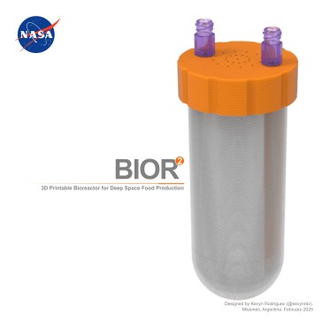 Bior2- 3D可打印的生物反应器，用于深空食品生产