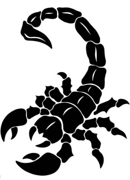 天蝎