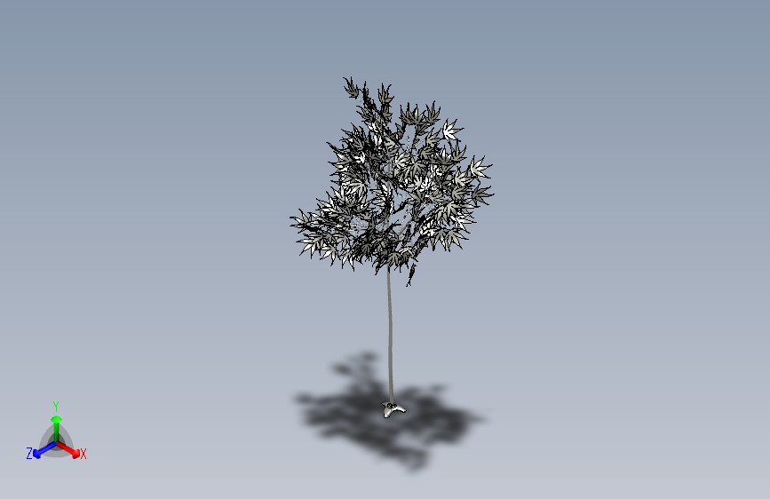 地中海风情的3D 树木