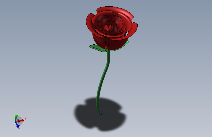 玫瑰花