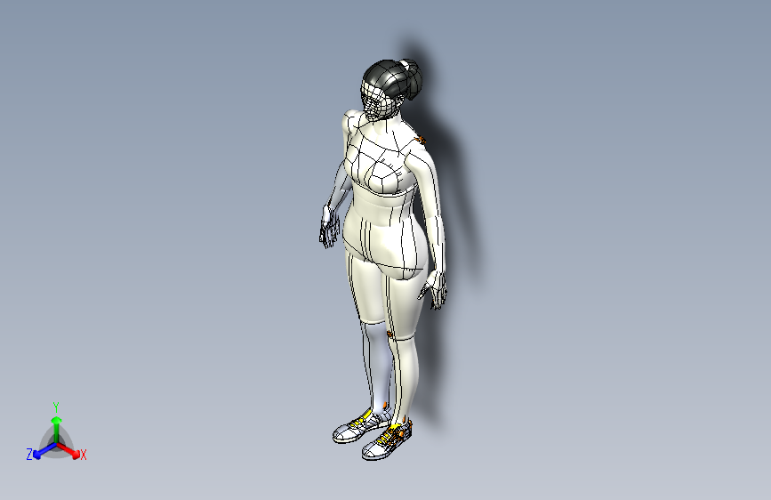 胫骨髓内钉模型3D图纸模型