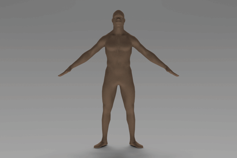 人体