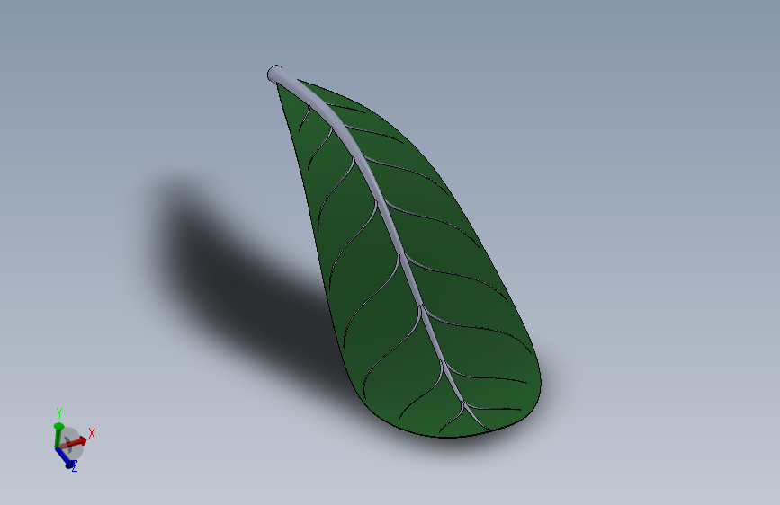 植物叶片的3D模型