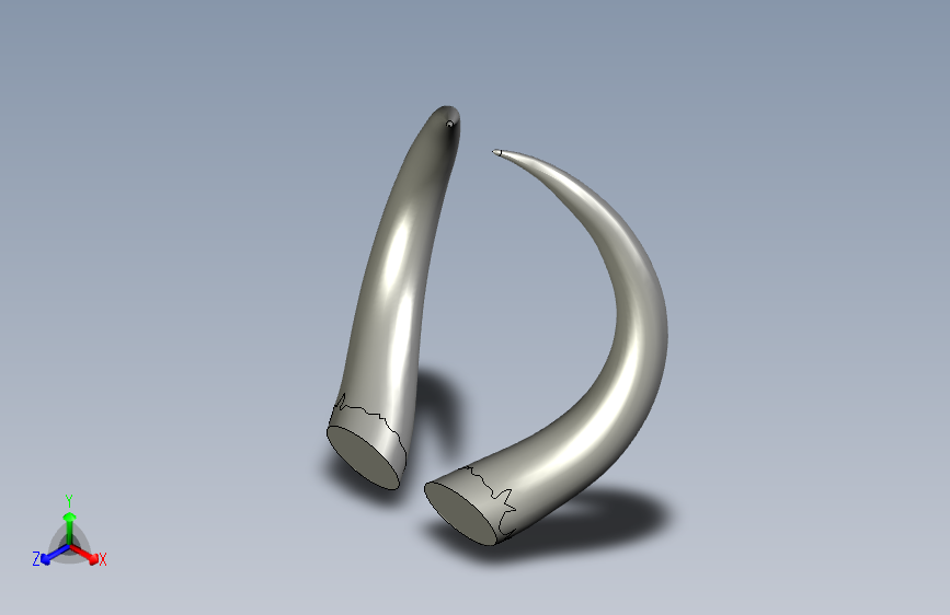 N001695-BULLOCK+HORN”