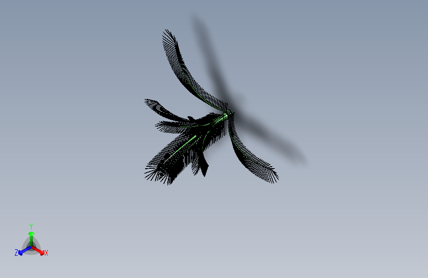 N003726-椰子