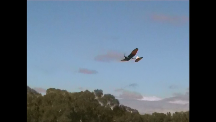 G021541-帕克·斯特普模型飞机