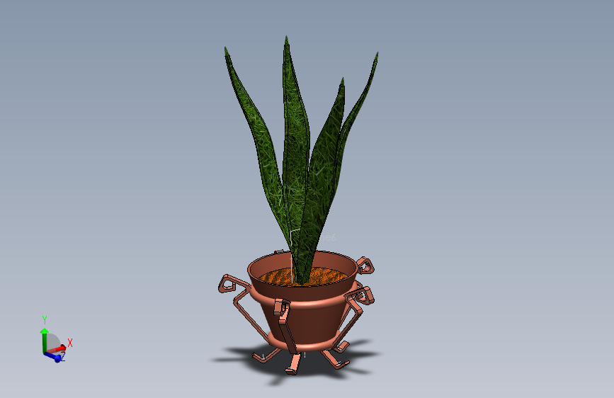 植物和花瓶12