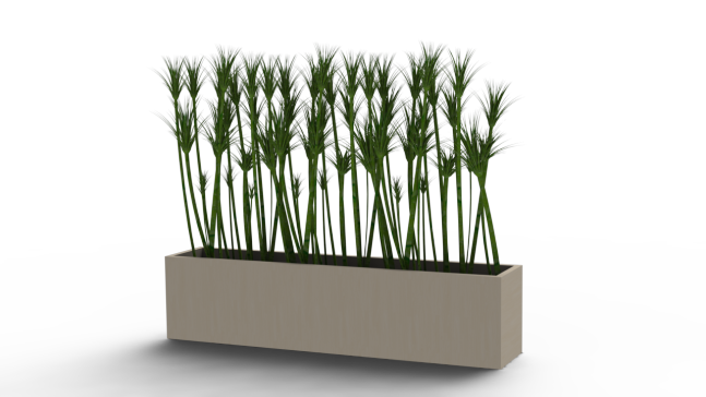 植物花盆22