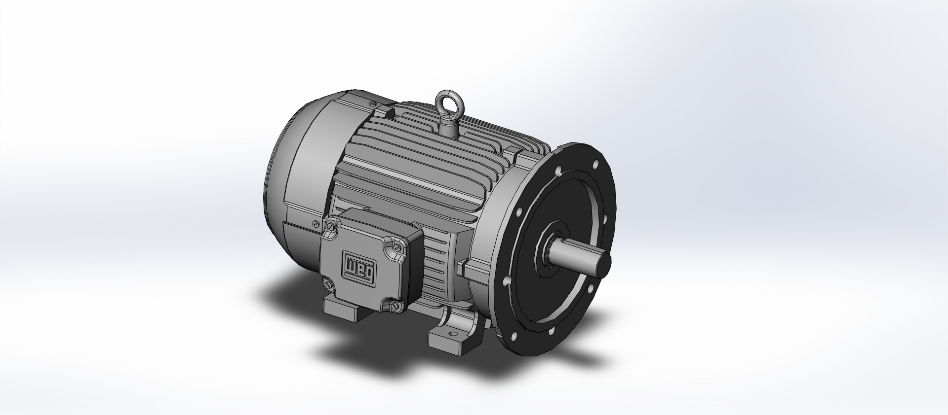 发动机weg 132m ff 1