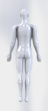 人体模型42