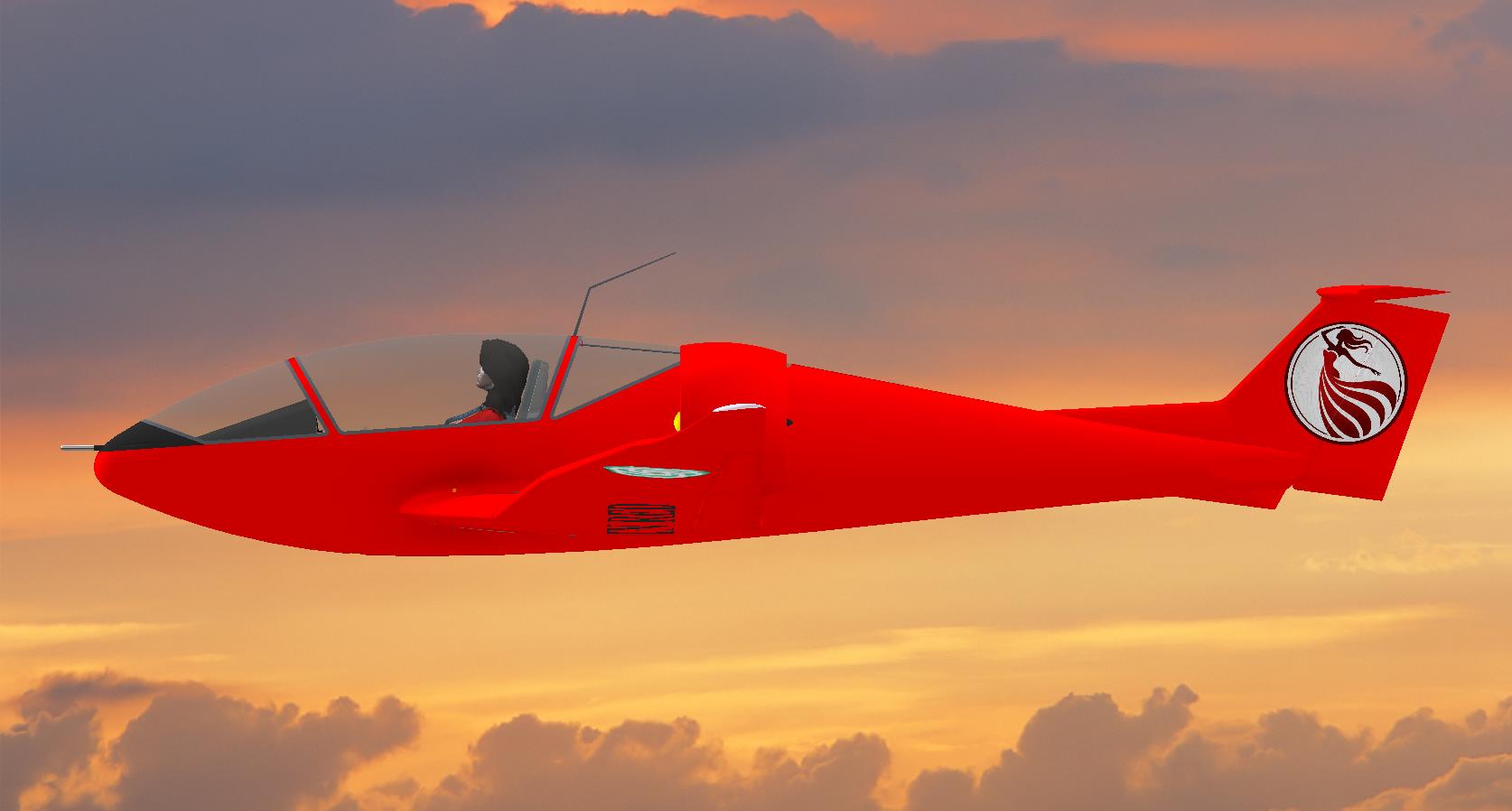 G024584-红色的飞机=飞机