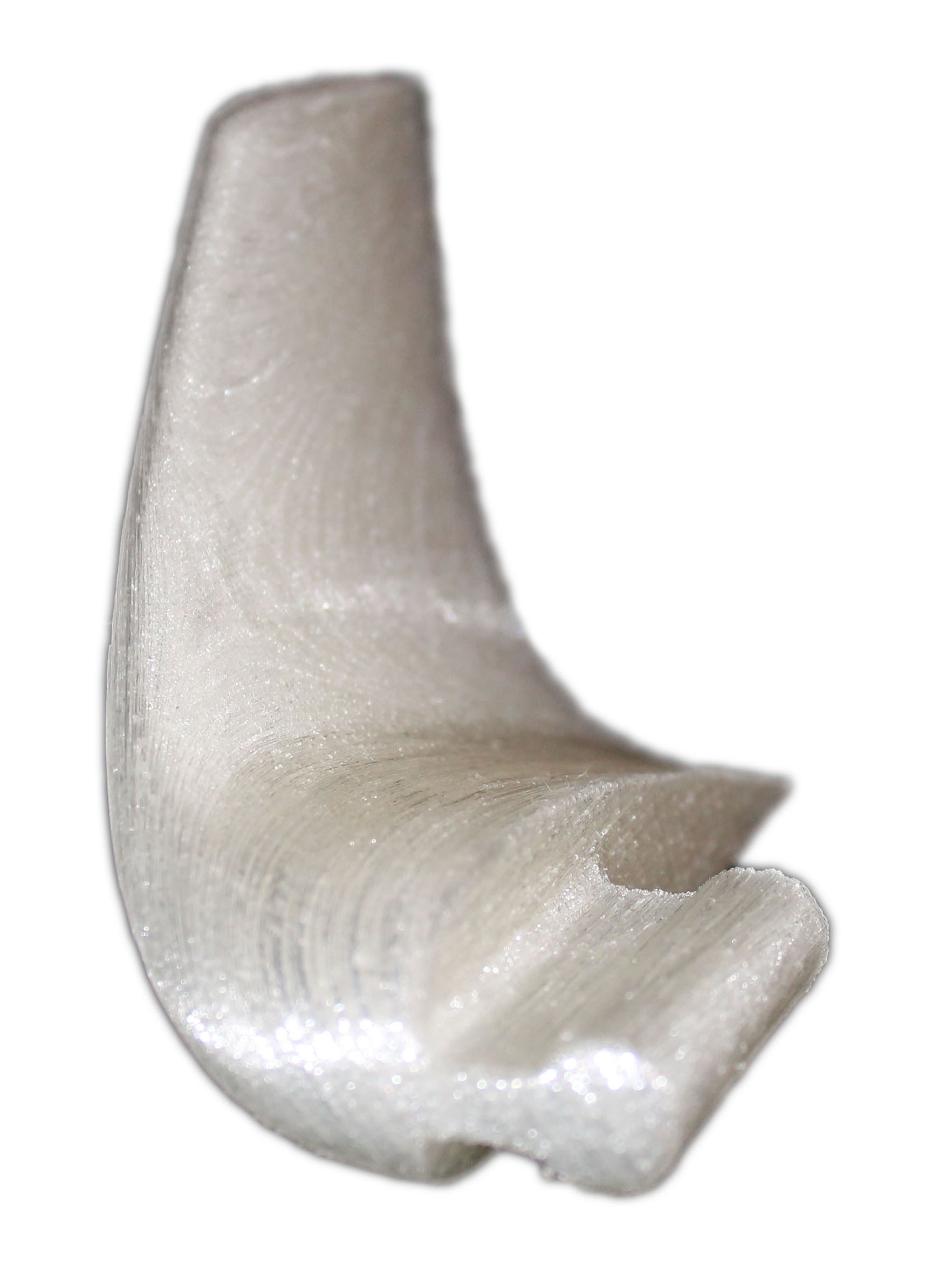 G025656-翼let涡量分析=飞机