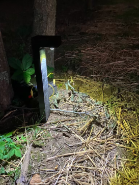 G032560-景观光现代=机器人机械臂