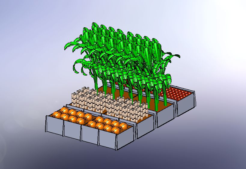 G044913-农场种植植物 7-椰子树=集装箱容器