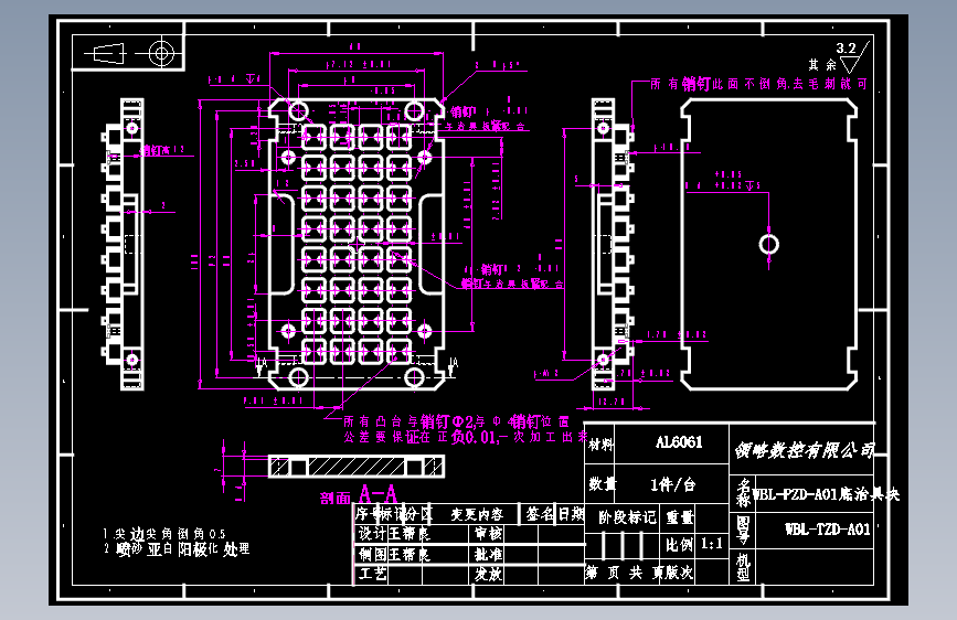 WBL-PZD-A01底治具块CAD图纸带公差