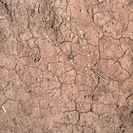 03--中式餐饮店 CAD+3D模型+效果图