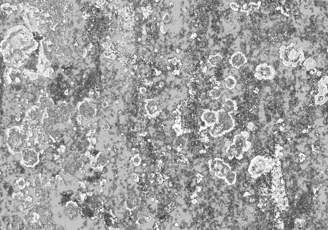 03--中式餐饮店 CAD+3D模型+效果图