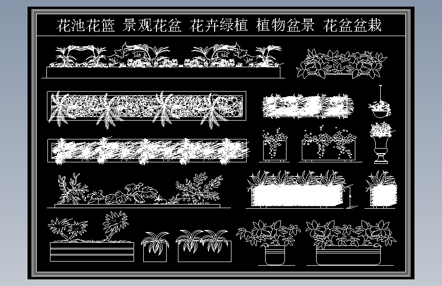 植物组团(11)