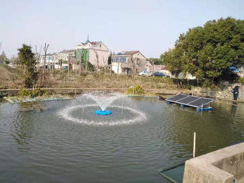 龙岩市永定区永定河流域水质综合提升工程