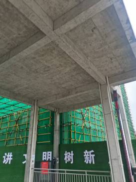滨湖农苑(1)