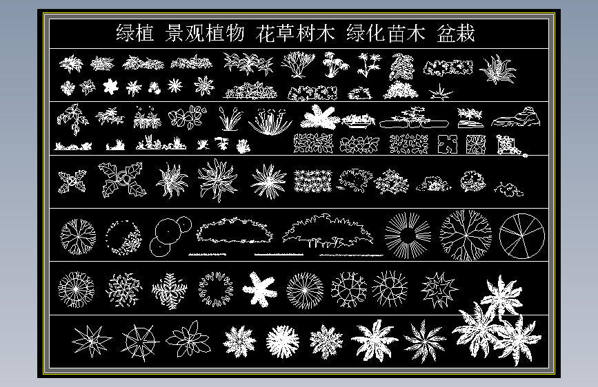 绿植 景观植物 花草树木 绿化苗木 盆栽