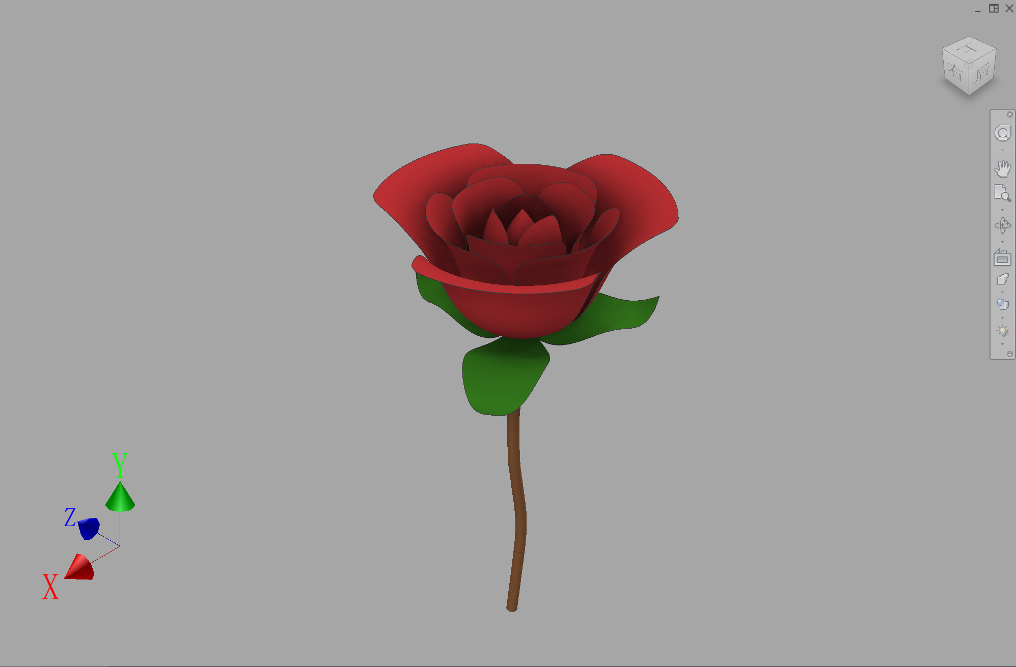 红玫瑰花