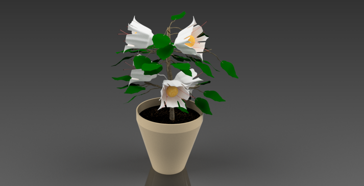 盆栽植物 (2)