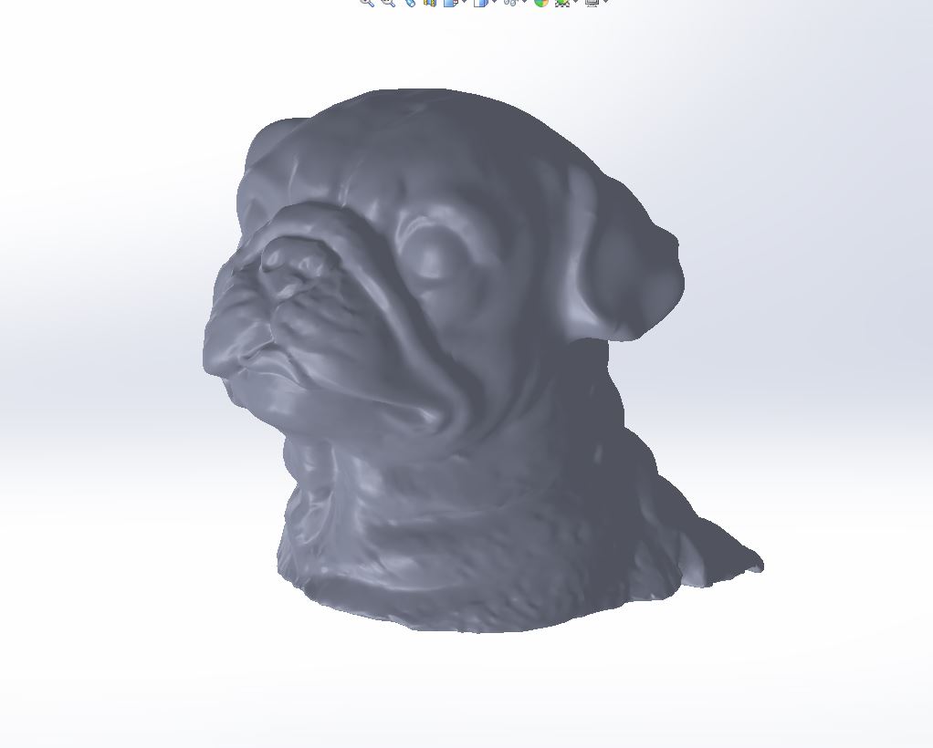 狗-狗