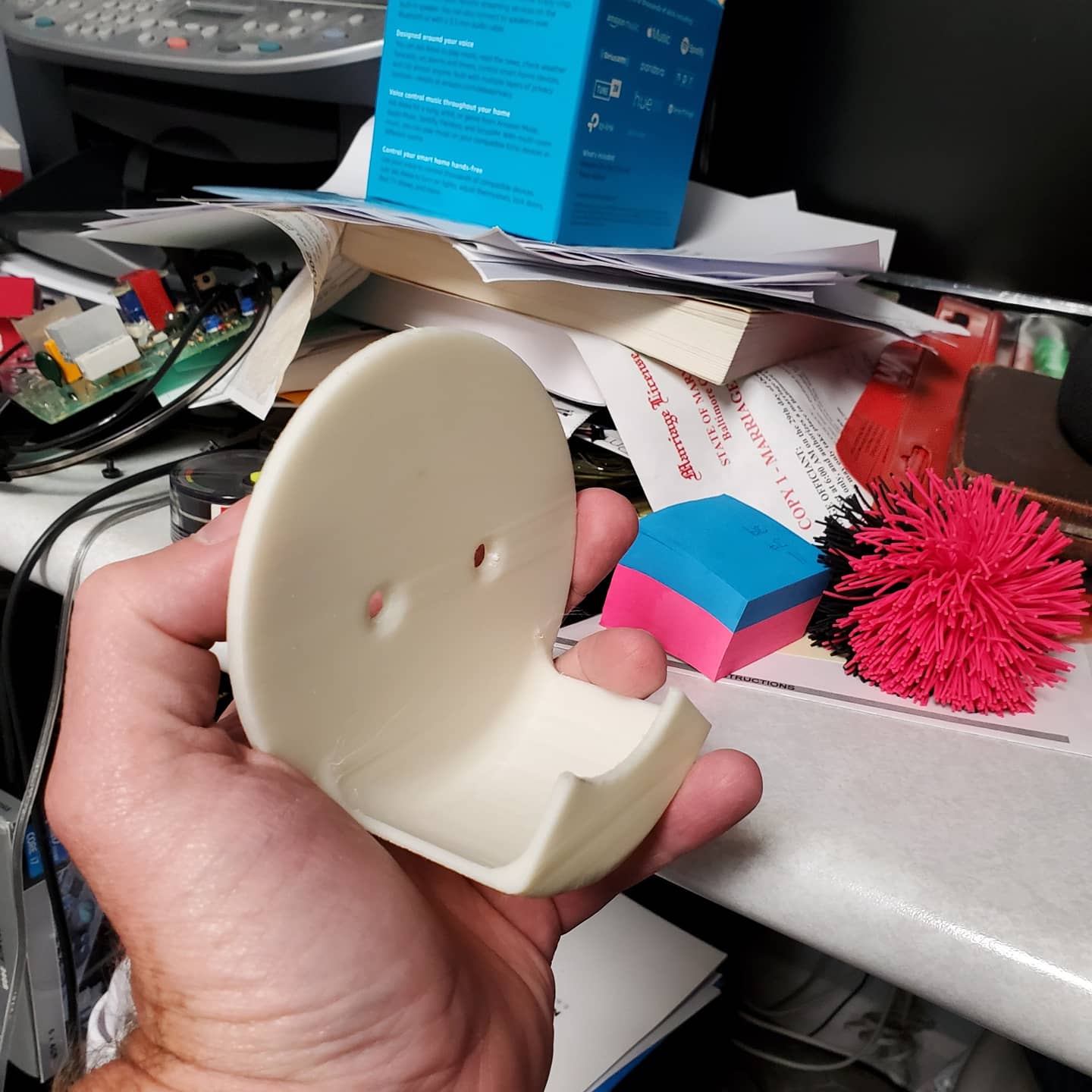 亚历克萨持有者