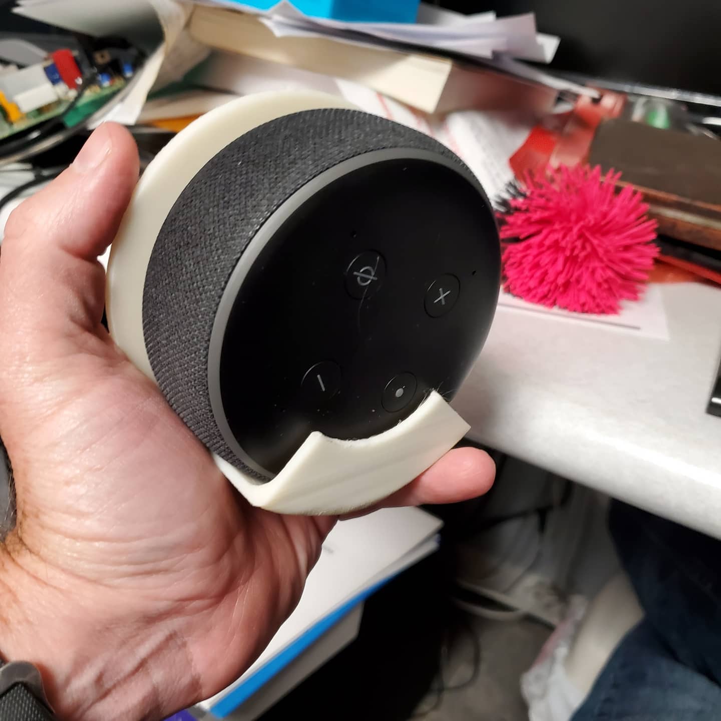 亚历克萨持有者