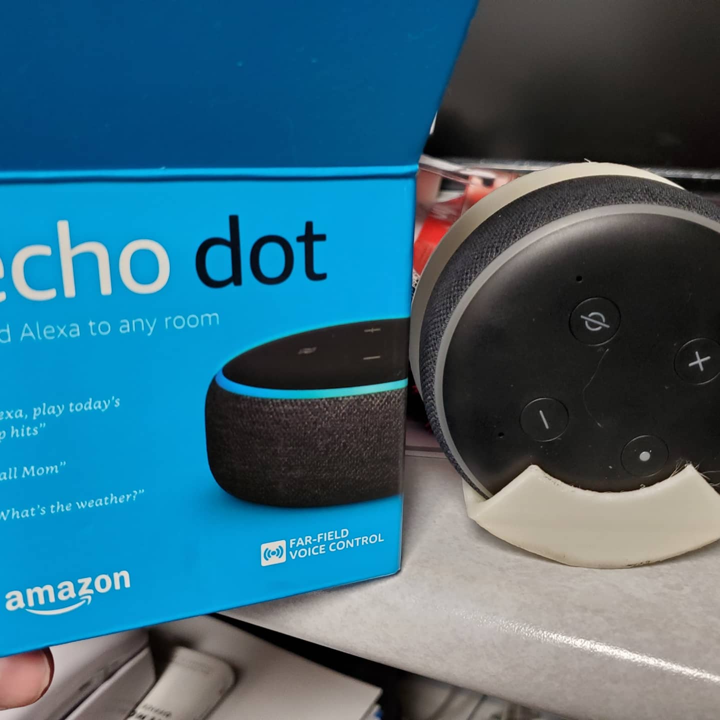 亚历克萨持有者