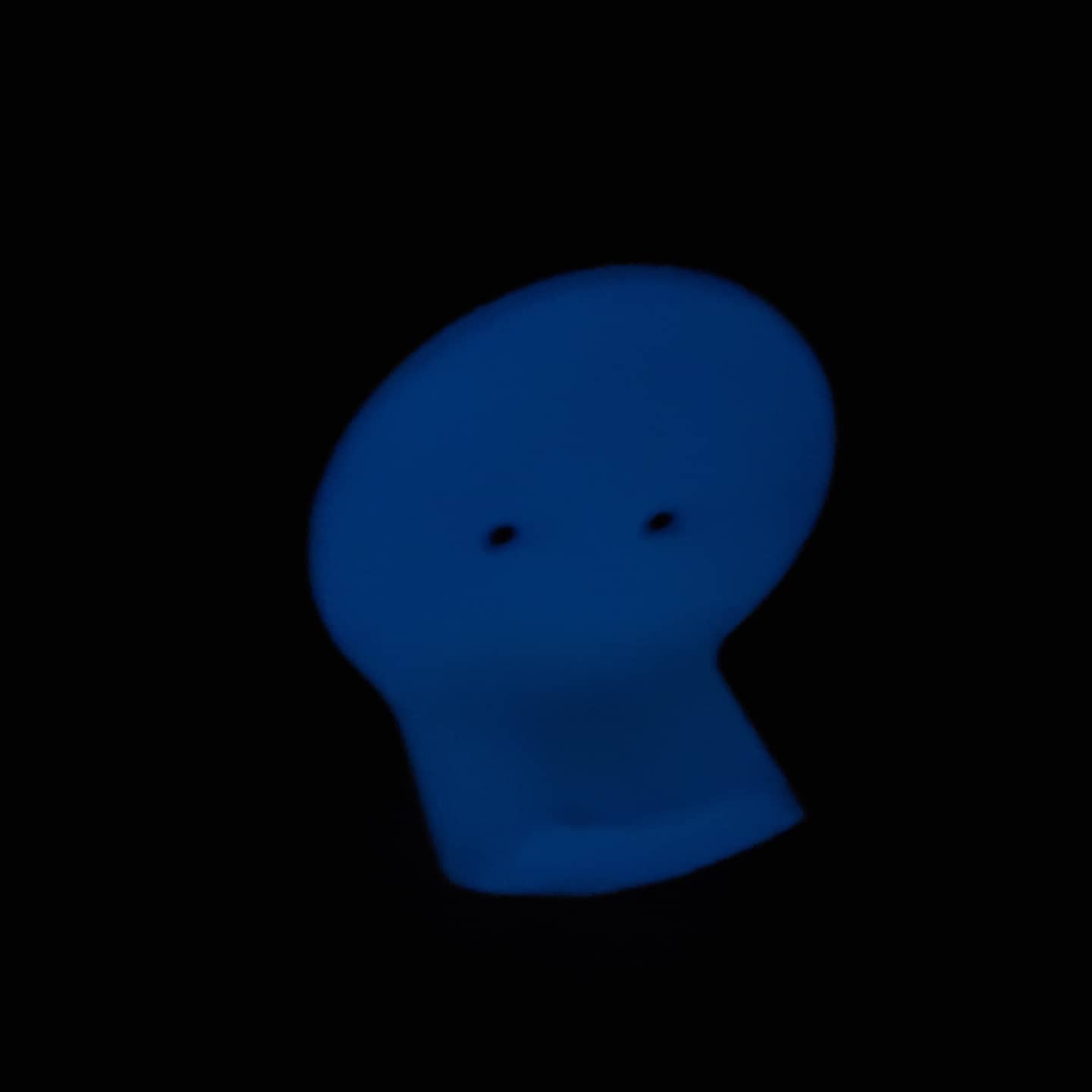 亚历克萨持有者