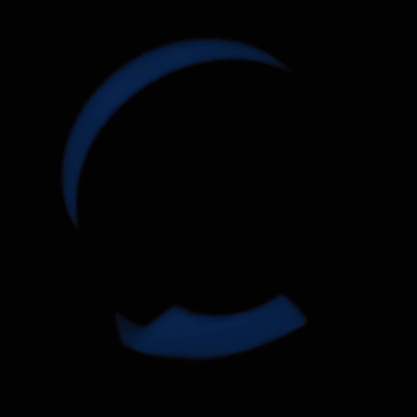 亚历克萨持有者