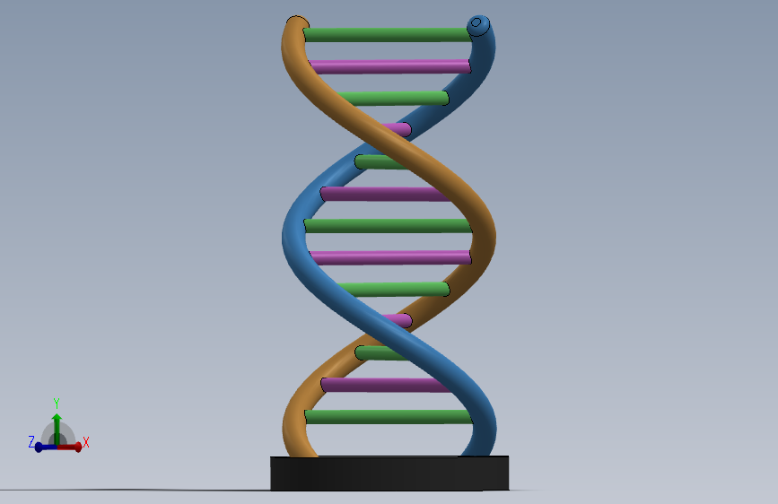 DNA 站立