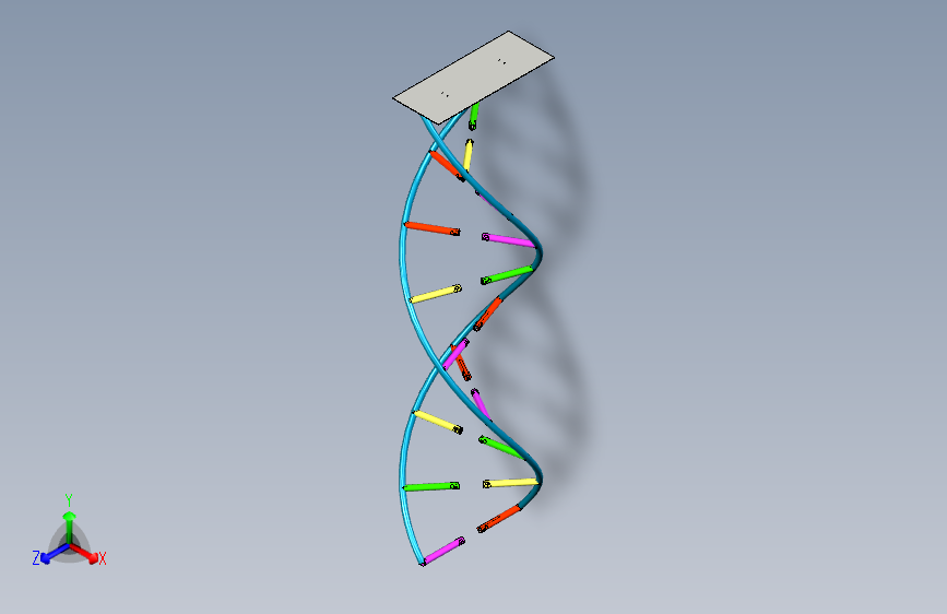 DNA 模型项目 (1)