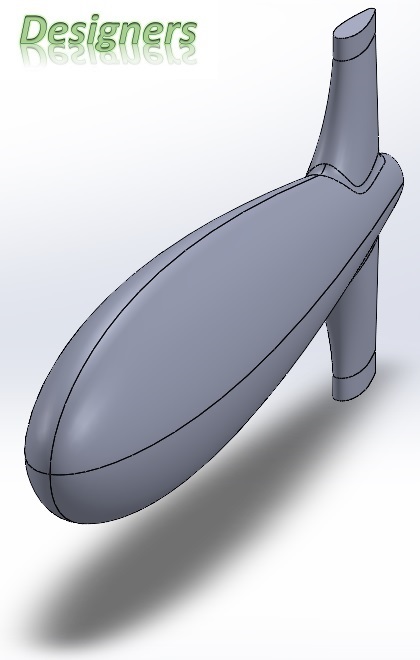 CAD 游泳鱼计算流体动力学仿真 包括用户定义函数