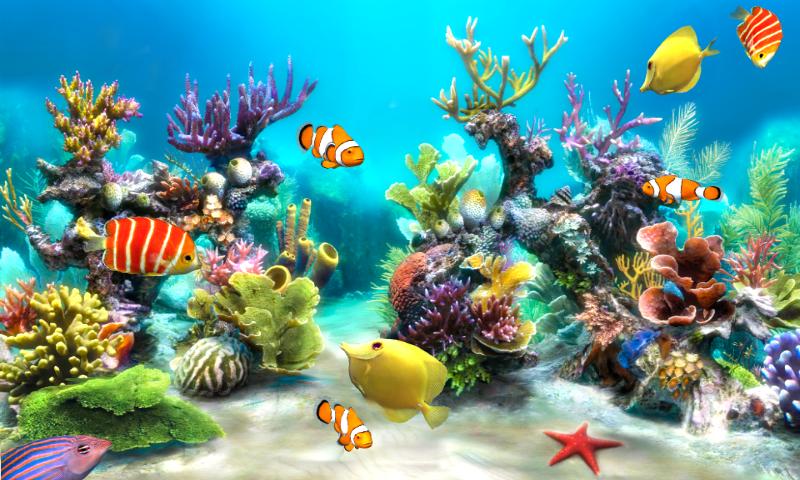 水族馆 (6)