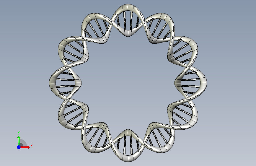 DNA 环 正面视图