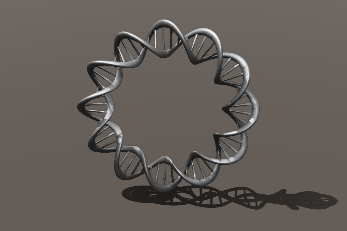 DNA 环