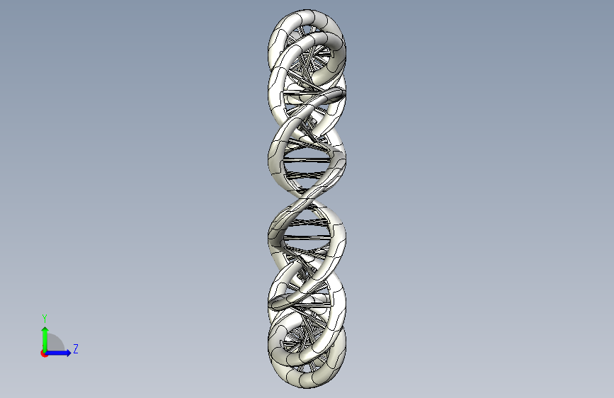 DNA 环 左侧视图