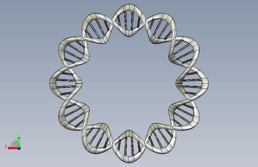 DNA 环 背面视图