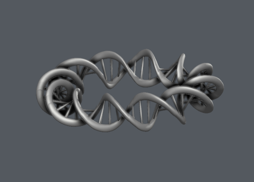 DNA 环