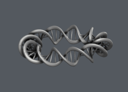 DNA 环