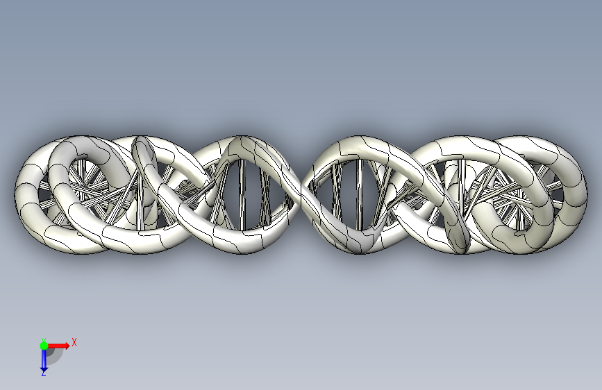 DNA 环 俯视图