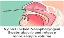 Flock swabs _ Flock 棉签，冠状病毒，Covid-19