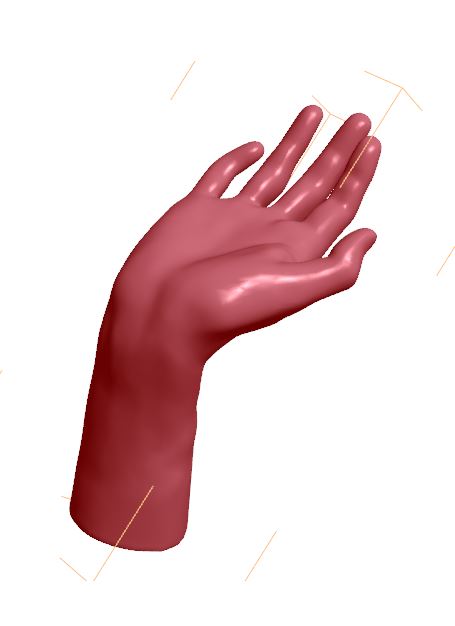 手