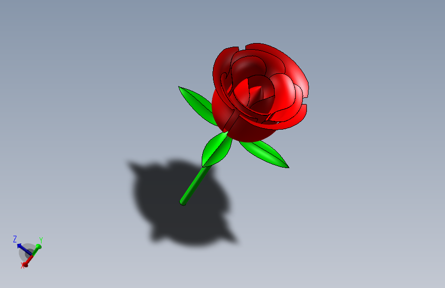 玫瑰花